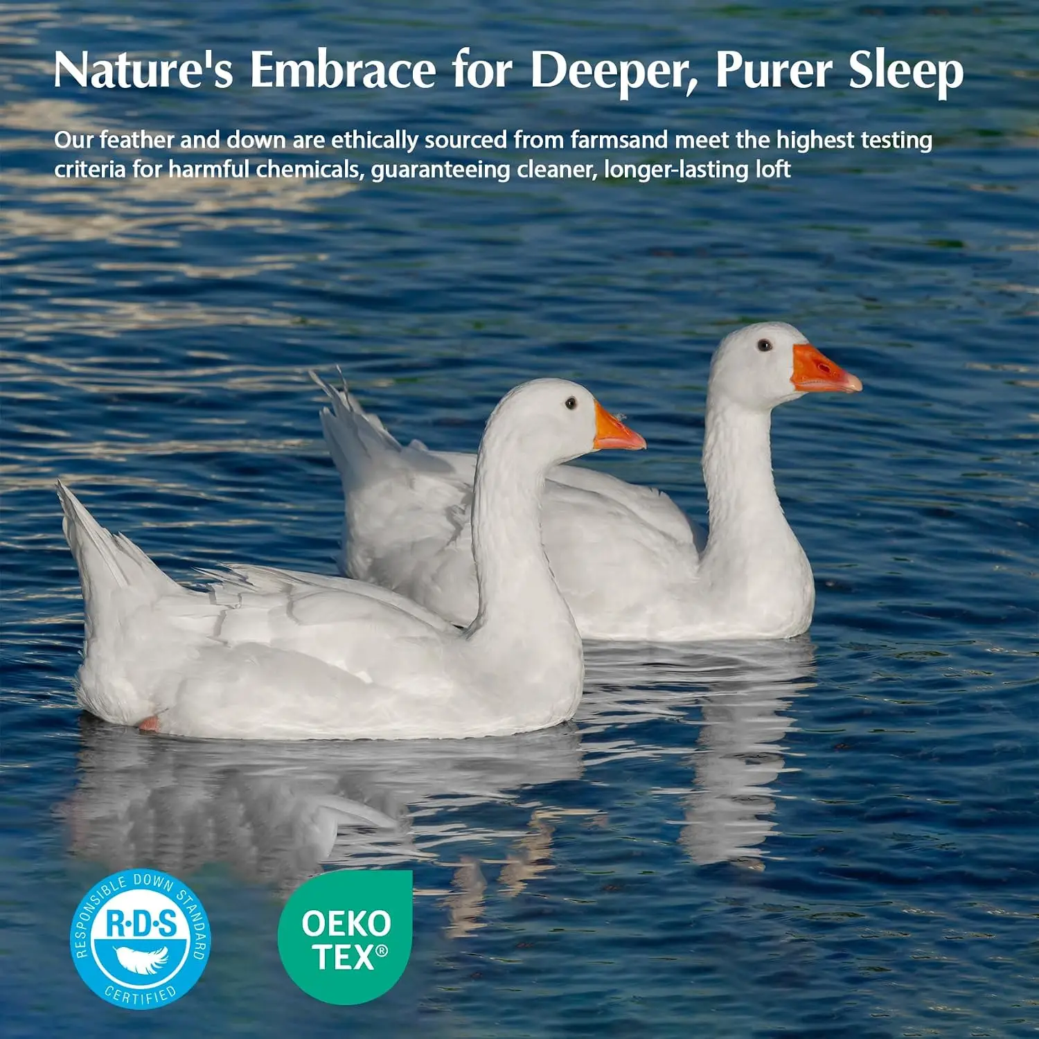Kołdra z włókien puchu gęsiego – Duvet Insert White recenzja i cena